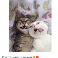 Тi