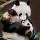 happy_panda03