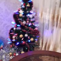 абдуллаева аида