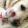 iryna_