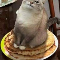 Марина