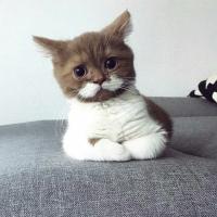 Ольга 