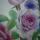 almekeeva.m