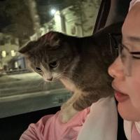 карина