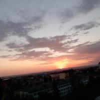 Регина Гашимова