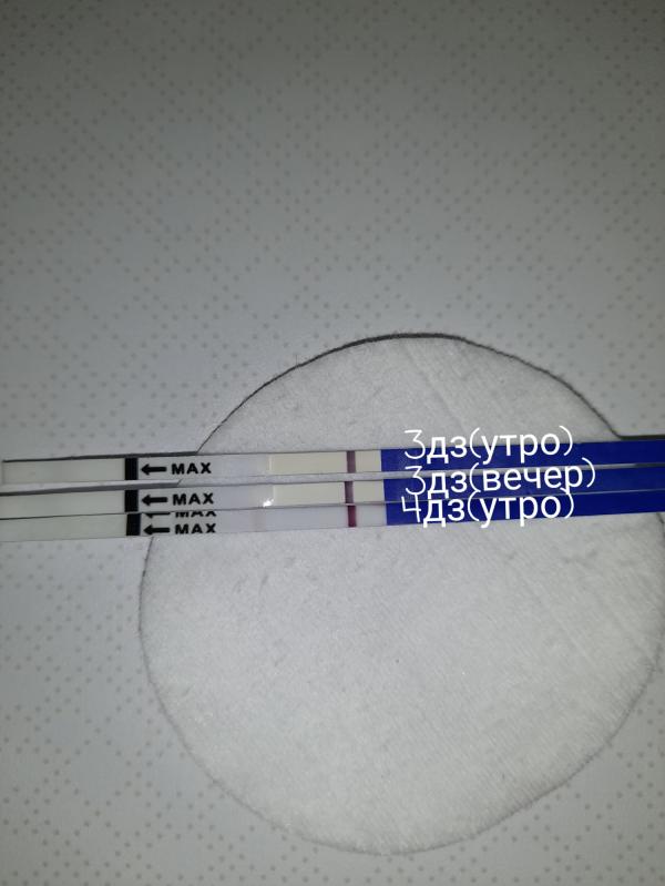 post image 4
