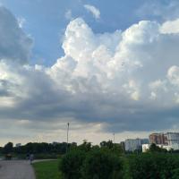 Астра