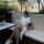 darya_ch