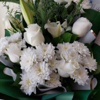 ® учитель-дефектолог (Алина К.)