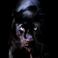 Катя