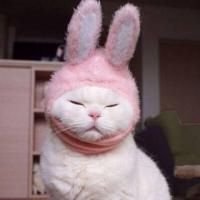Настёна