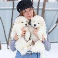 Анна Стенина