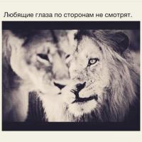 Fatimaa®