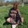 alinaorfeevaicloud.com