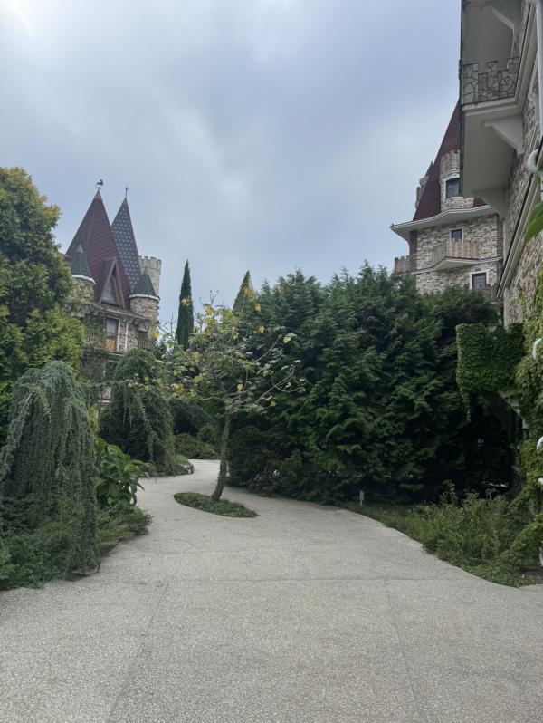 post image 5