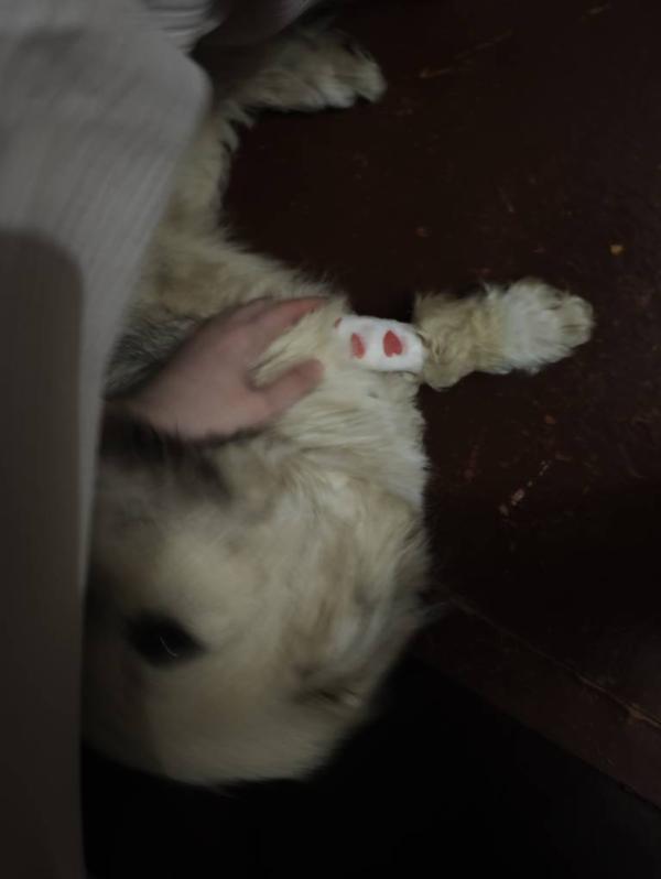 post image 5