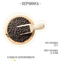 jamka