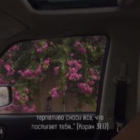 Аминка