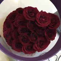 Anash