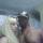 ladyrogers317