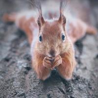 Наталья