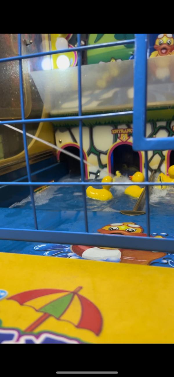 post image 5