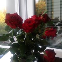 Нелли