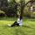 nadin_555_