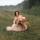 evelina_seliverstova