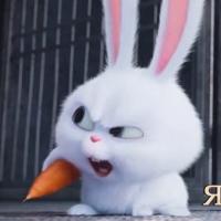 😊