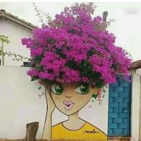 bloom