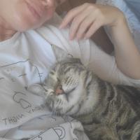 Dina