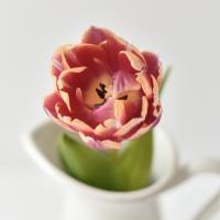 Екатерина 🌸