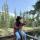 anliena_ts