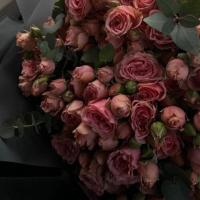 رايشا
