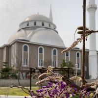 Зарема 