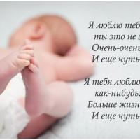 dasha