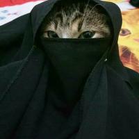 миу