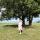 ana_st_