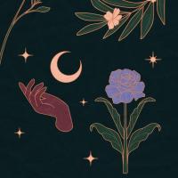 flowermoon 🌓