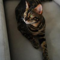 Александра