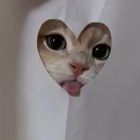 Mur
