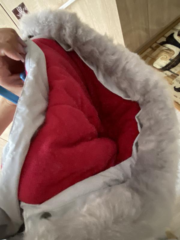 post image 5