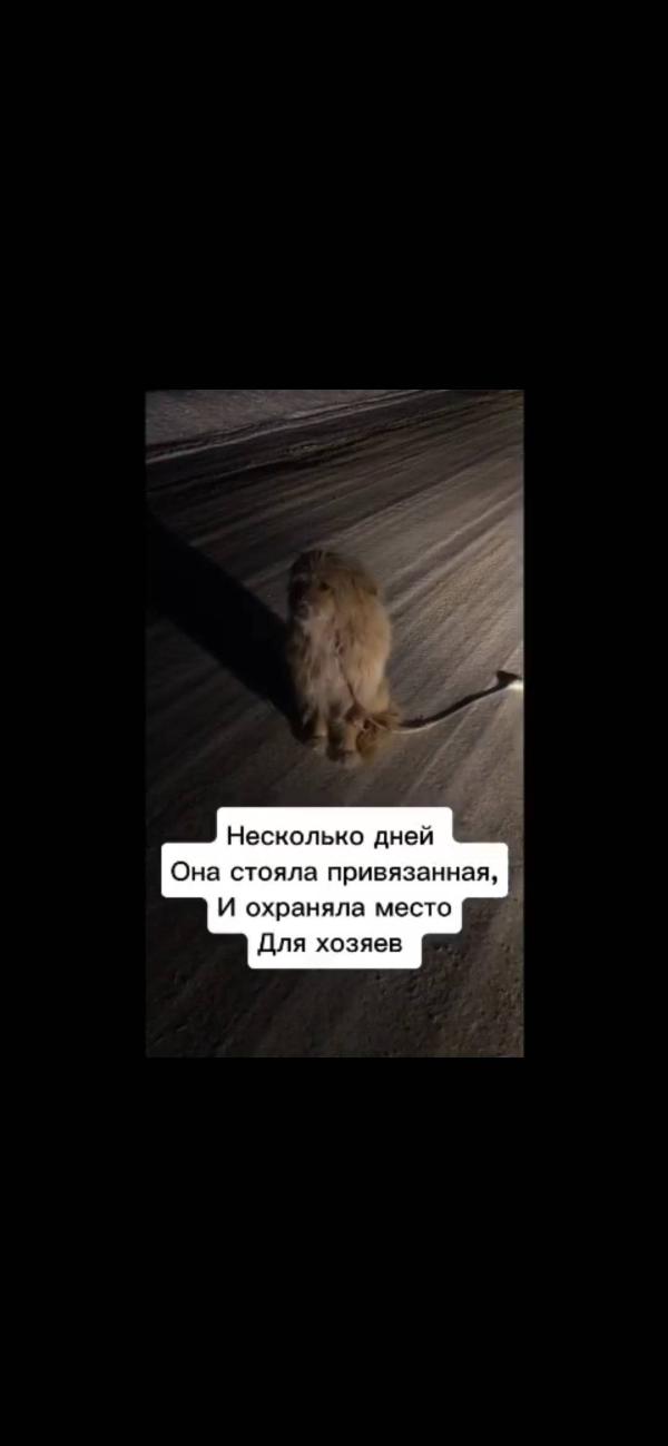 post image 4