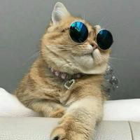Мамочка