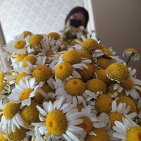 Фатима