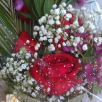 Gulya
