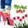 barbariska_world