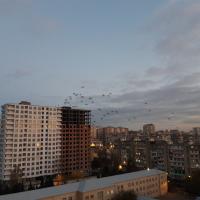 фая 