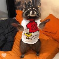 Ксения 